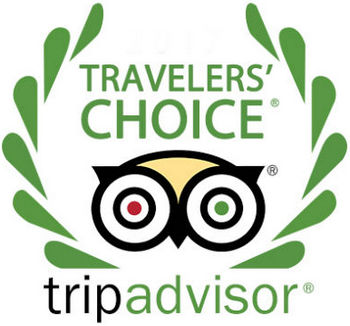 trip advisor romania travelers choice